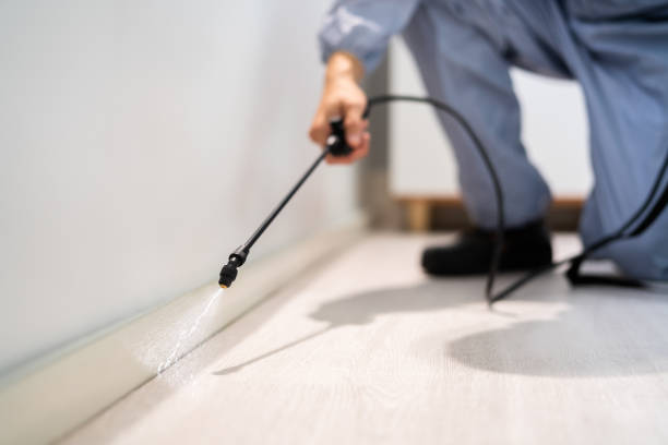 Rodent Entry Point Assessment in Strongsville