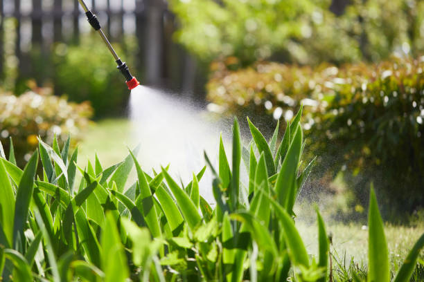 Tamper-Resistant Bait Stations for Rodents in Strongsville