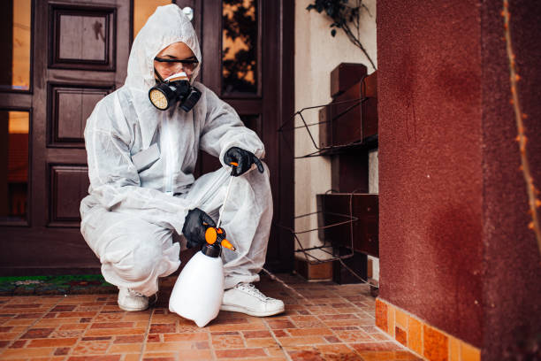 Attic and Crawl Space Rodent Treatment in Strongsville