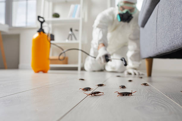 Commercial Rodent Management in Strongsville